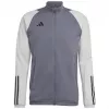 adidas Tiro 23 Competition herentrainingssweatshirt grijs HP1908