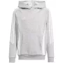 adidas Tiro 24 hooded sweatshirt junior grijs 164 cm