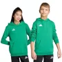 adidas Entrada 26 hoody kinderen groen 140 cm