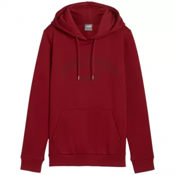 PUMA heren Essentials+ Logo LAB hoodie FL bordeaux maat L