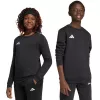 adidas Entrada 26 Sweat Top Kinderen Zwart 152cm