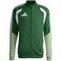 adidas Heren Tiro 26 Competition Trainingsjack Groen KA7679 L