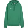 PUMA Team Goal Casuals Hoody Forest Night Heren Medium