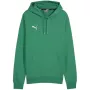 PUMA Team Goal Casuals Hoody Forest Night Heren Medium