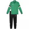 PUMA Heren Team Rise trainingspak in pepergroen en Puma Black, maat S