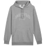 PUMA Essentials+ Logo LAB Gradient hoodie - middelgrijs melange - heren M