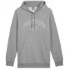 PUMA Essentials+ Logo LAB Gradient hoodie - middelgrijs melange - heren M