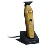 Panasonic Barikan ER-XT70-N801 Tondeuse, goud