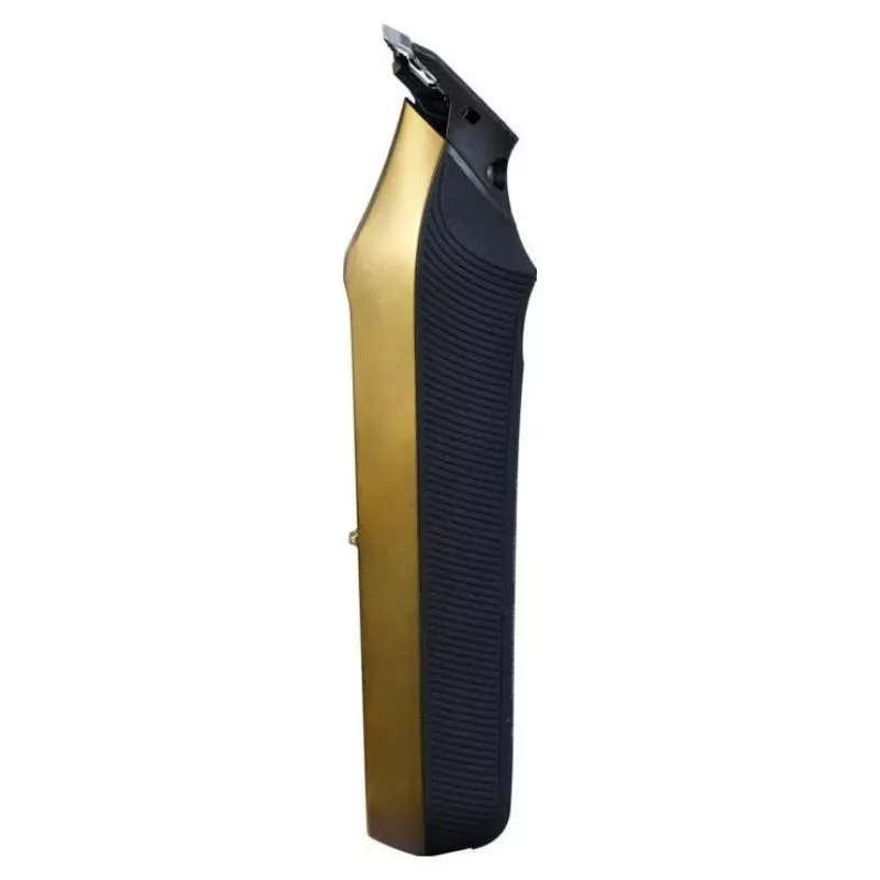 Panasonic Barikan ER-XT70-N801 Tondeuse, goud