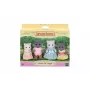 EPOCH Sylvanian Families Perzische katten familie