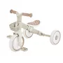 Tribike leer-driewieler 2-in-1 Plus 737-466