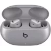 Beats Studio Buds + True Wireless oordopjes met ruisonderdrukking, Cosmic Silver (MT2P3ZM/A)