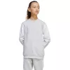 adidas Squadra 25 crew sweatshirt voor kinderen - grijs (JD4824) 164cm