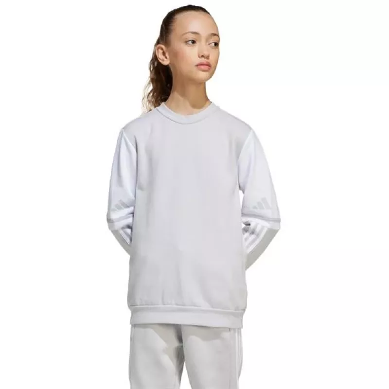 adidas Squadra 25 crew sweatshirt voor kinderen - grijs (JD4824) 164cm
