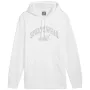 PUMA ESS+ Logo LAB Gradient hoodie FL puma white medium