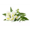 Click & Grow Smart Garden navulverpakking, 3 plantcapsules (SGR78X3)