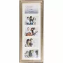Victoria Collection 21083 thermostatische douchemengkraan, wandmontage, chroom