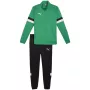 PUMA Heren Team Rise Full-Zip trainingspak Forest Night/Puma Black maat L