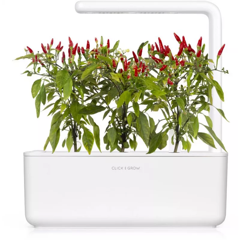 Click & Grow Piri-Piri chili plantencapsules voor Smart Garden, 3-pack (SGR67X3)
