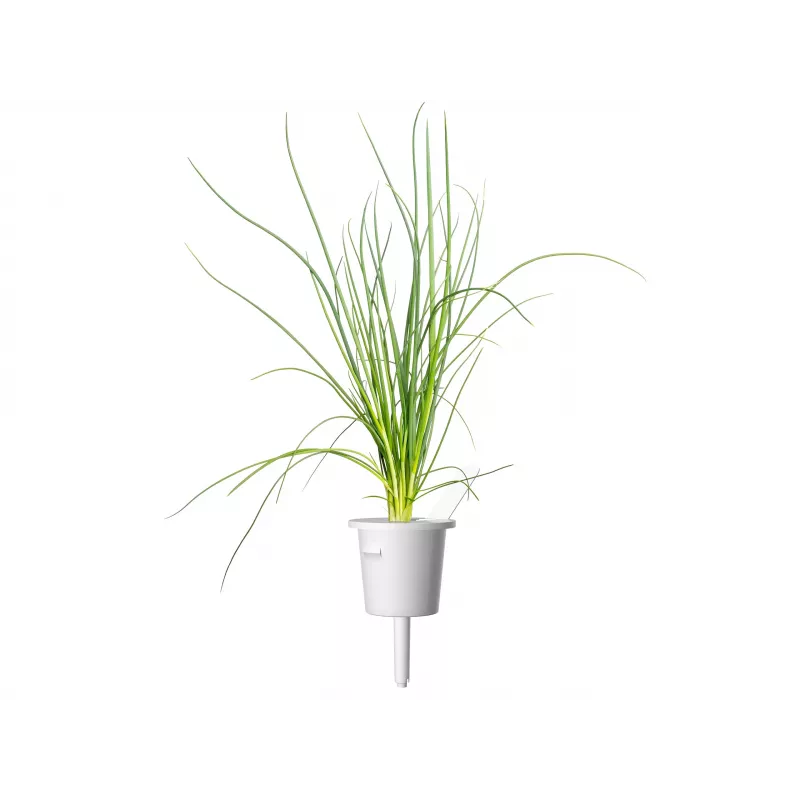 Click & Grow Smart Garden navulverpakking, 3 plantcapsules (SGR105X3)
