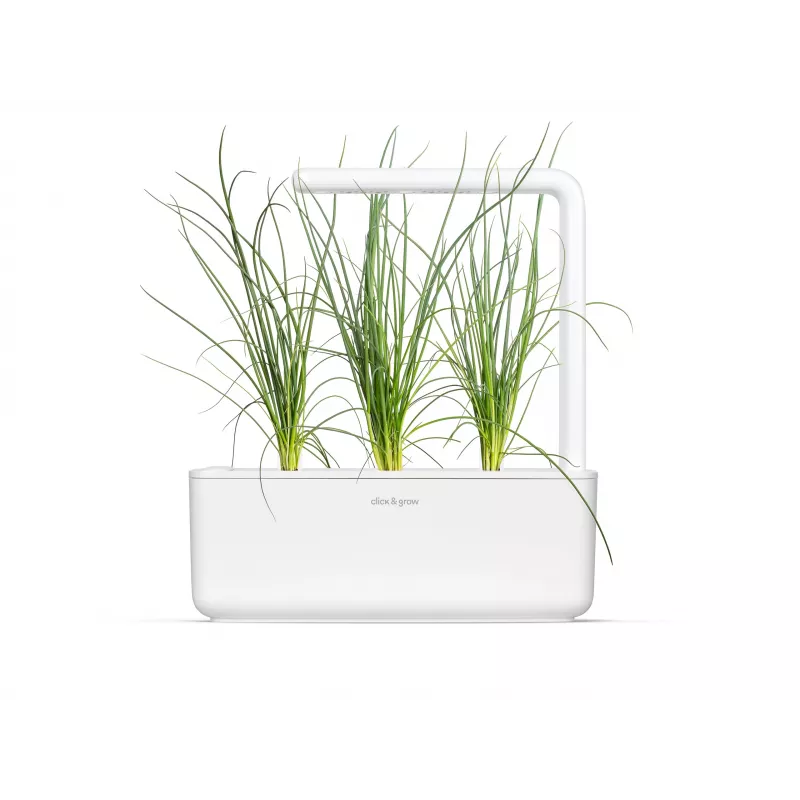 Click & Grow Smart Garden navulverpakking, 3 plantcapsules (SGR105X3)