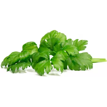 Click & Grow snijselderij plantcupsules voor Smart Garden, 3-pack (SGR97X3)