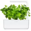 Click & Grow snijselderij plantcupsules voor Smart Garden, 3-pack (SGR97X3)