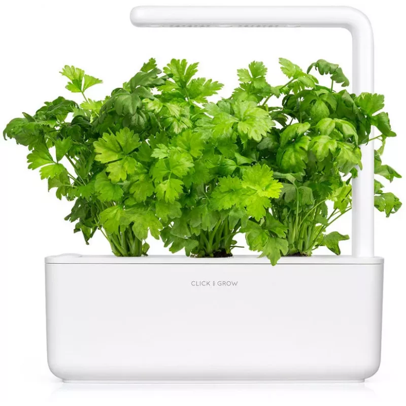 Click & Grow snijselderij plantcupsules voor Smart Garden, 3-pack (SGR97X3)