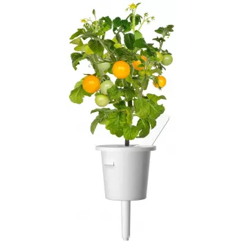 Click and Grow Smart Garden navulling 3-pack mini-tomatenplantencapsules