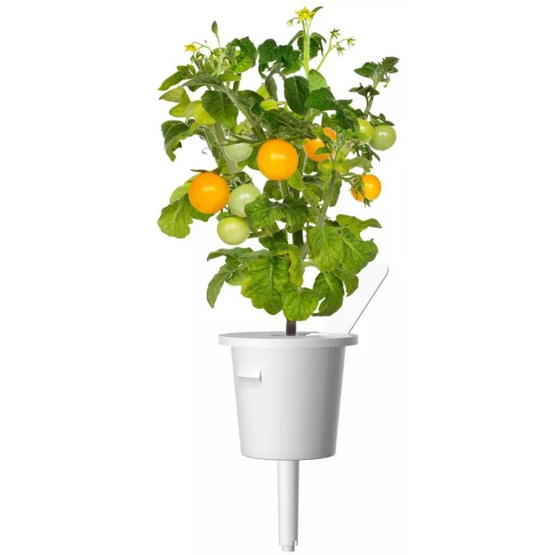 Click and Grow Smart Garden navulling 3-pack mini-tomatenplantencapsules