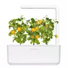 Click and Grow Smart Garden navulling 3-pack mini-tomatenplantencapsules