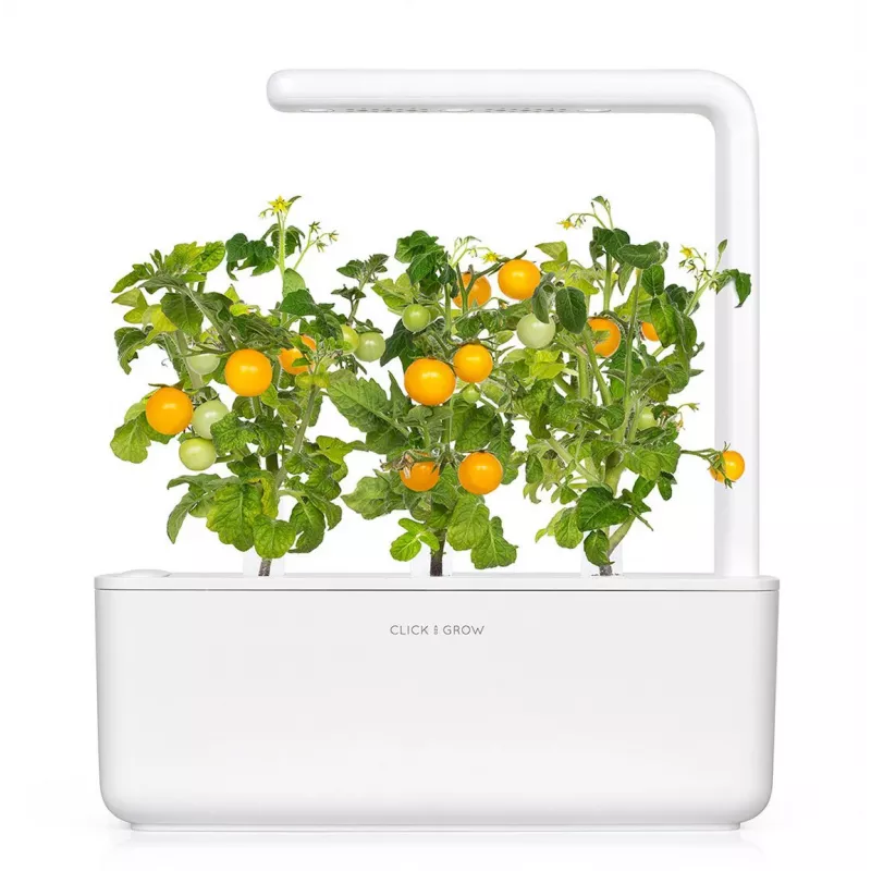 Click and Grow Smart Garden navulling 3-pack mini-tomatenplantencapsules
