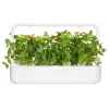 Click & Grow citroenbasilicum plantcapsules voor Smart Garden, 3-pack (SGR76X3)