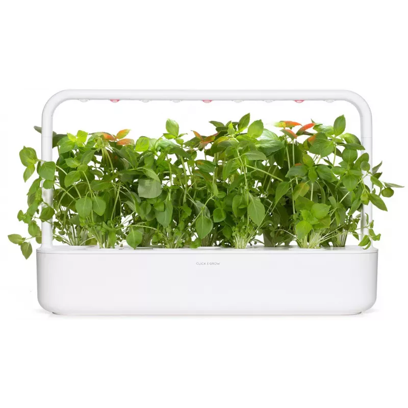 Click & Grow citroenbasilicum plantcapsules voor Smart Garden, 3-pack (SGR76X3)