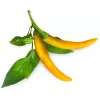 Click & Grow SGR60X3 chilipeper-plantencapsules (3-pack)