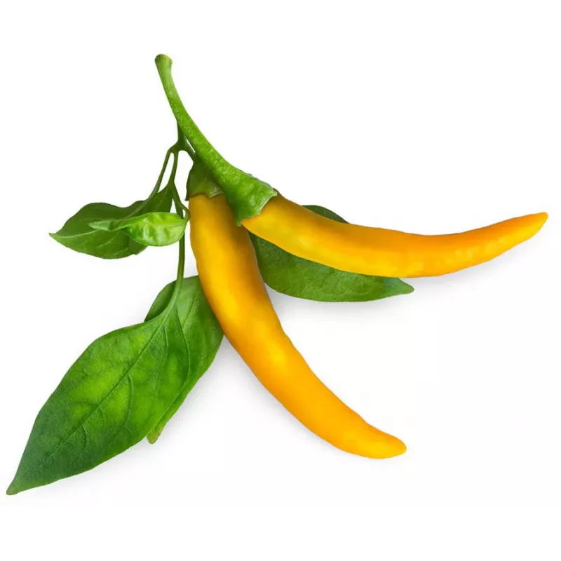 Click & Grow SGR60X3 chilipeper-plantencapsules (3-pack)