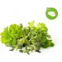 Click & Grow steak-kruidenmix plantcapsules voor Smart Garden, 9-pack (PPMSSX9)