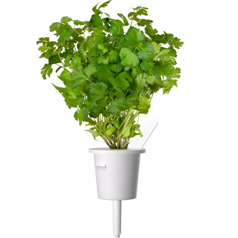 Click & Grow steak-kruidenmix plantcapsules voor Smart Garden, 9-pack (PPMSSX9)