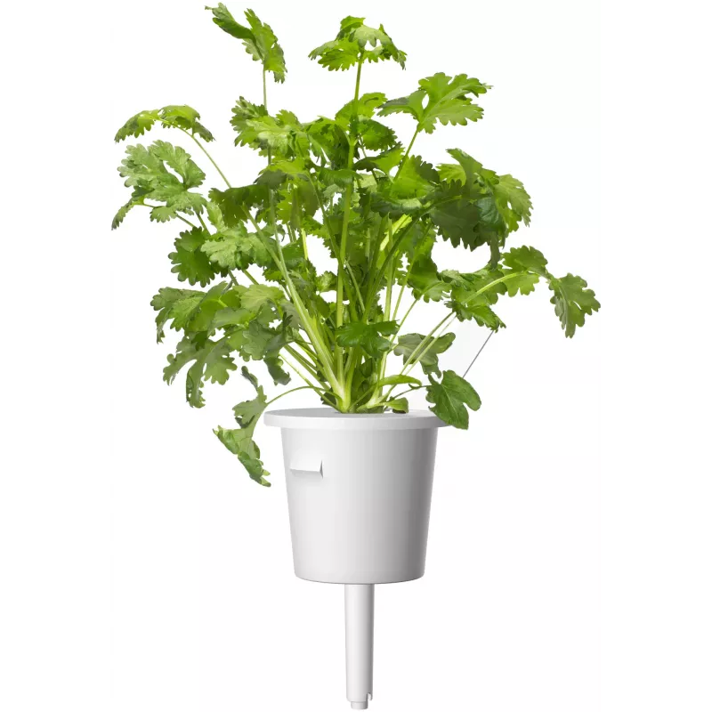 Click & Grow steak-kruidenmix plantcapsules voor Smart Garden, 9-pack (PPMSSX9)