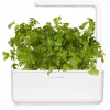 Click & Grow SGR68x3 peterselie plantcapsules (3-pack)