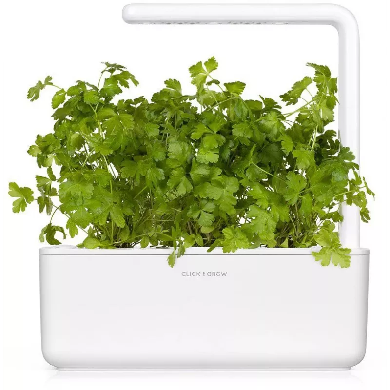 Click & Grow SGR68x3 peterselie plantcapsules (3-pack)