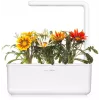 Click & Grow gazania plantcapsules voor Smart Garden, 3-pack (SGR92X3)