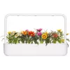 Click & Grow gazania plantcapsules voor Smart Garden, 3-pack (SGR92X3)