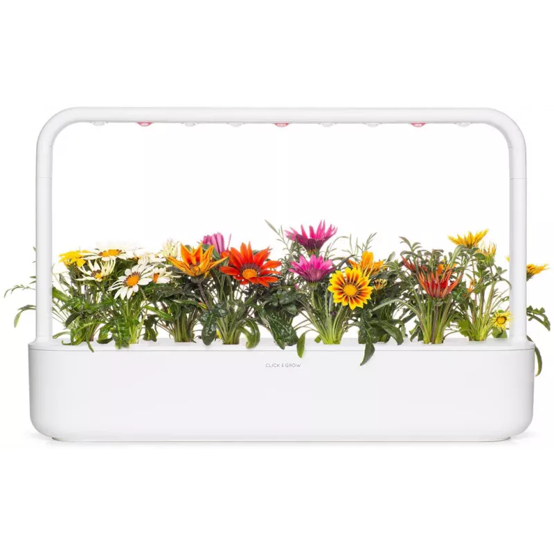 Click & Grow gazania plantcapsules voor Smart Garden, 3-pack (SGR92X3)