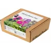 Click & Grow Vibrant Flower Mix plantcapsules voor Smart Garden, 9-pack (PPMVBX9)