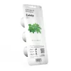 Click & Grow Smart Garden navulverpakking kattenkruid, 3 plantcapsules (SGR29X3)