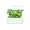 Click & Grow Smart Garden navulverpakking kattenkruid, 3 plantcapsules (SGR29X3)