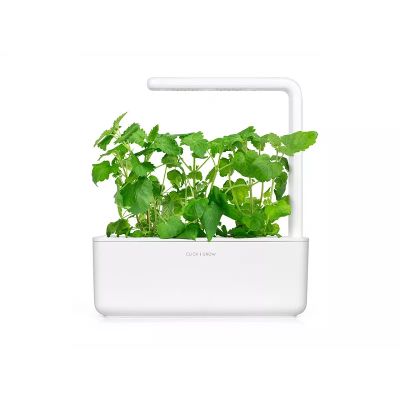 Click & Grow Smart Garden navulverpakking kattenkruid, 3 plantcapsules (SGR29X3)