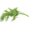 Click & Grow SGR49x3 dille plantpods navulling 3-pack