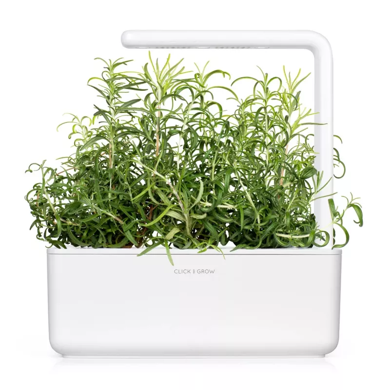 Click & Grow Smart Garden navulverpakking rozemarijn, 3 plantcapsules (SGR51X3)